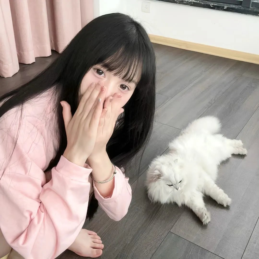 我的会长大人海报