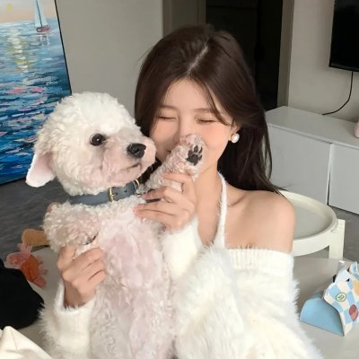 青城之恋海报
