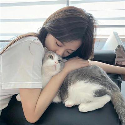 我是一部照相机海报
